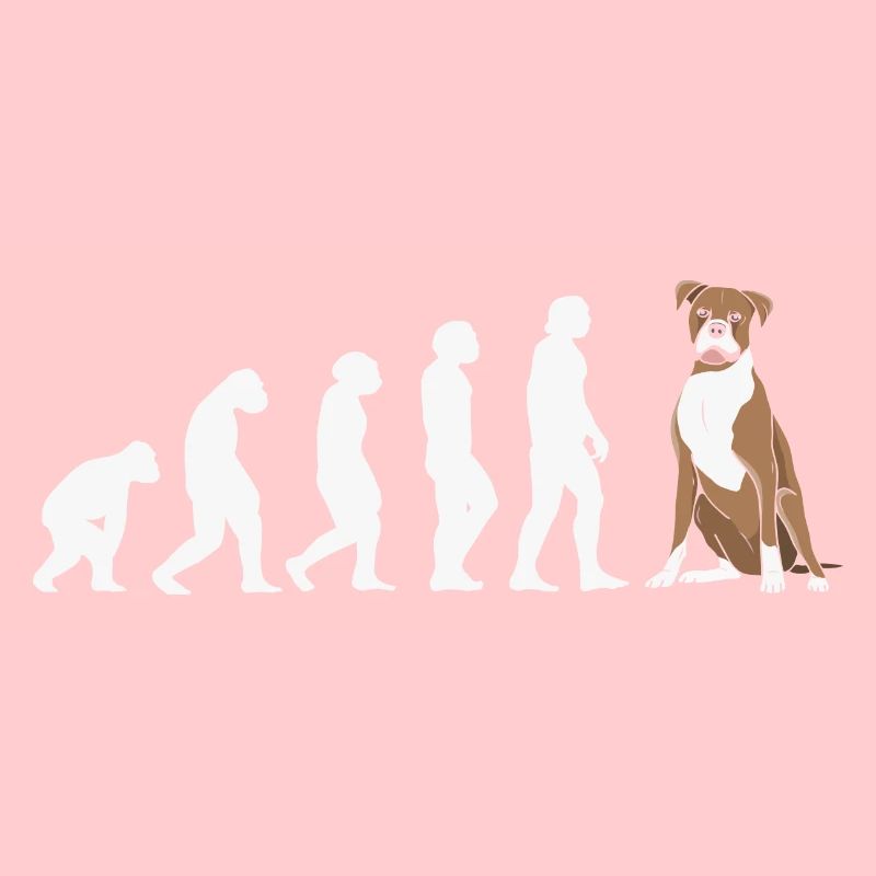 Evolution Boxer