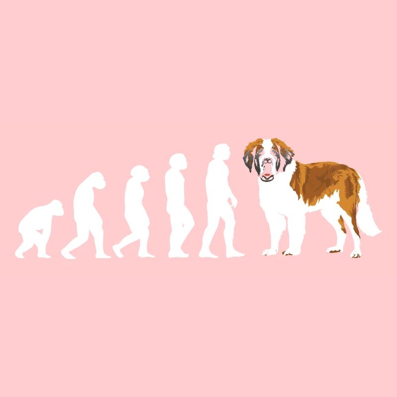 Evolution Saint-Bernard
