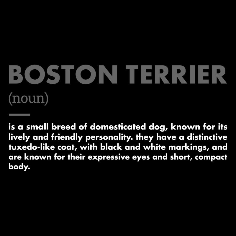 Boston Terrier Definition