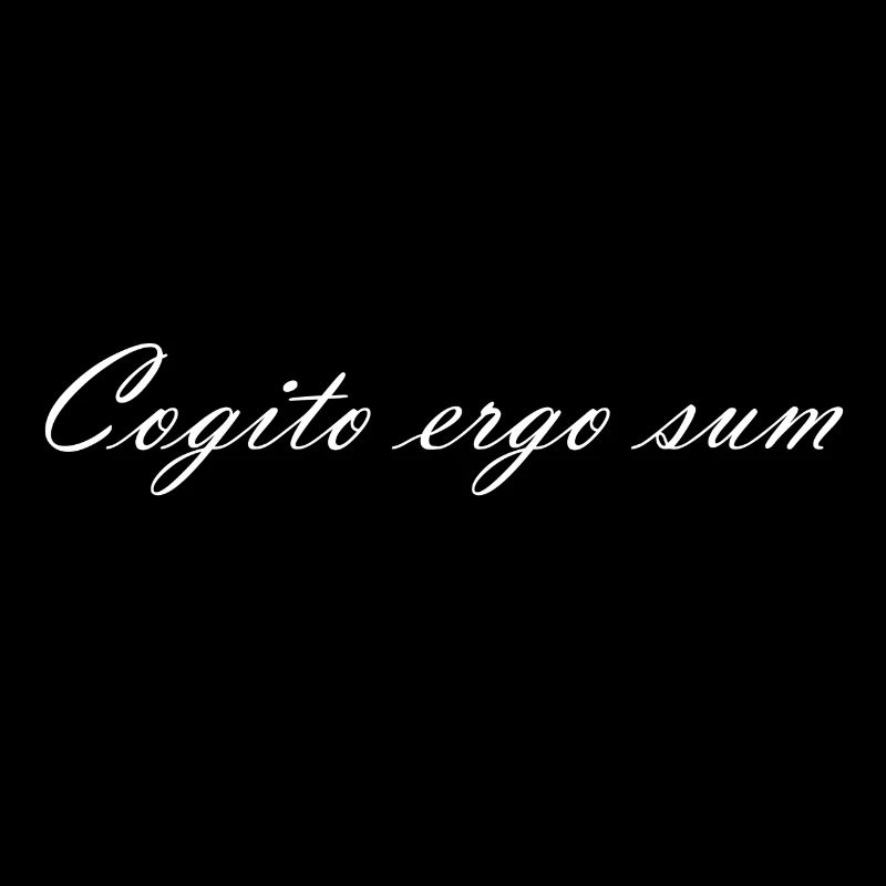 Cogoito ergo sum - Ich denke, also bin ich.