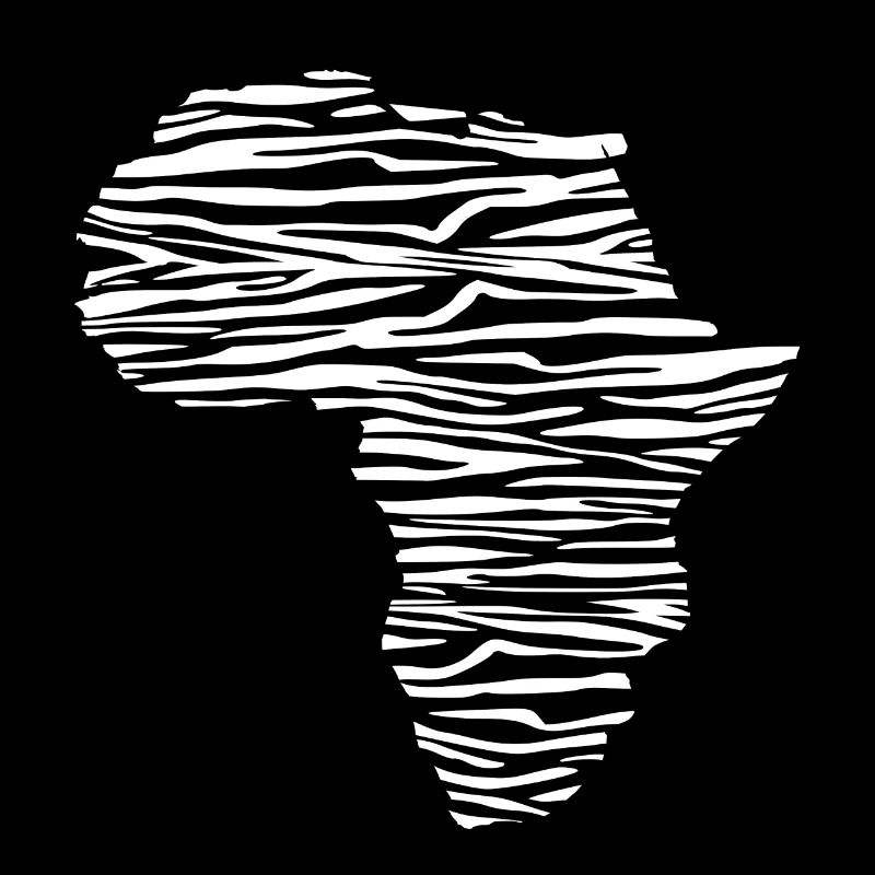 Africa zebra