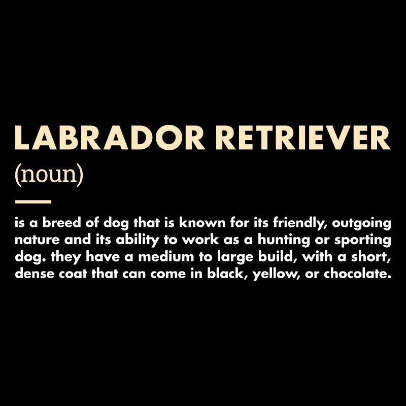 Définition du Labrador Retriever