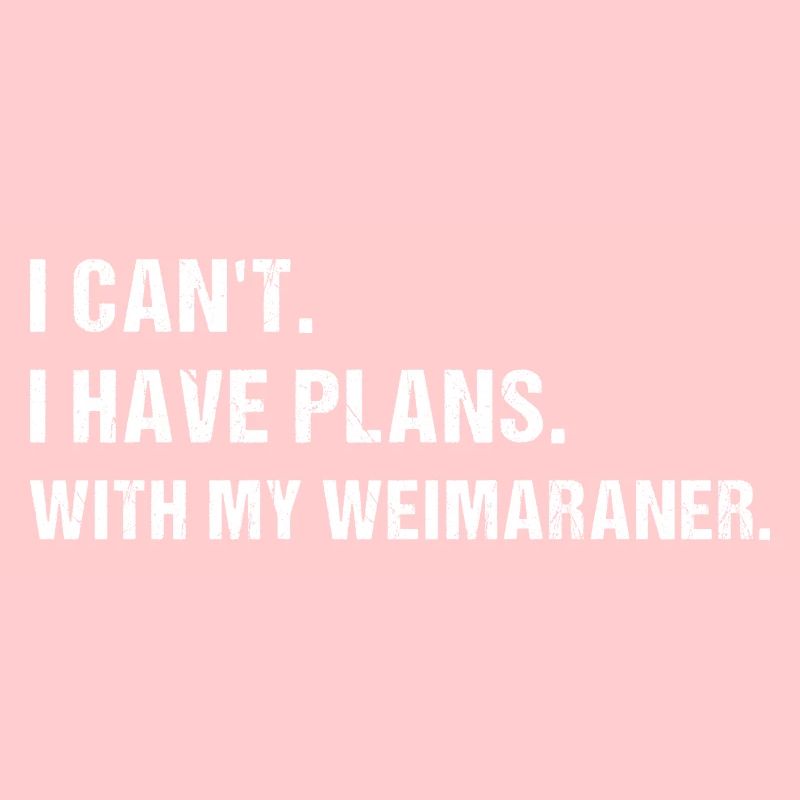 J’ai des plans. Avec mon braque de Weimar