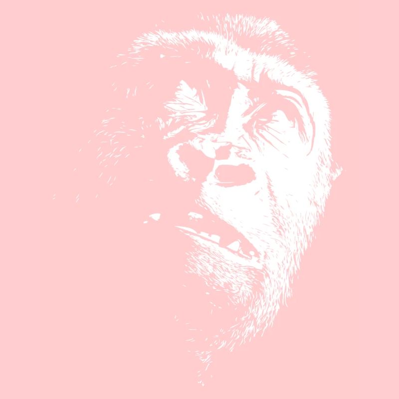 Gorilla head - White Edition