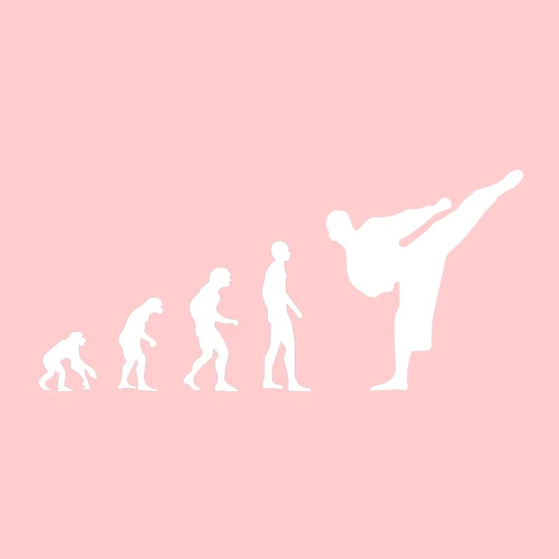 Sport de kickboxing de karaté J'aime l'évolution