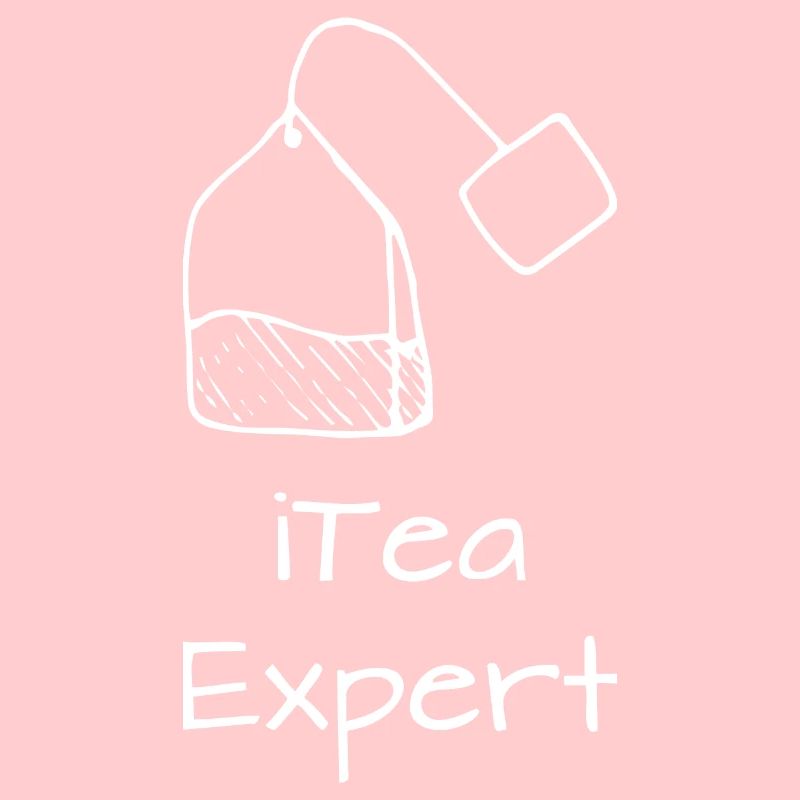 Itea expert Programming Informatic Gift