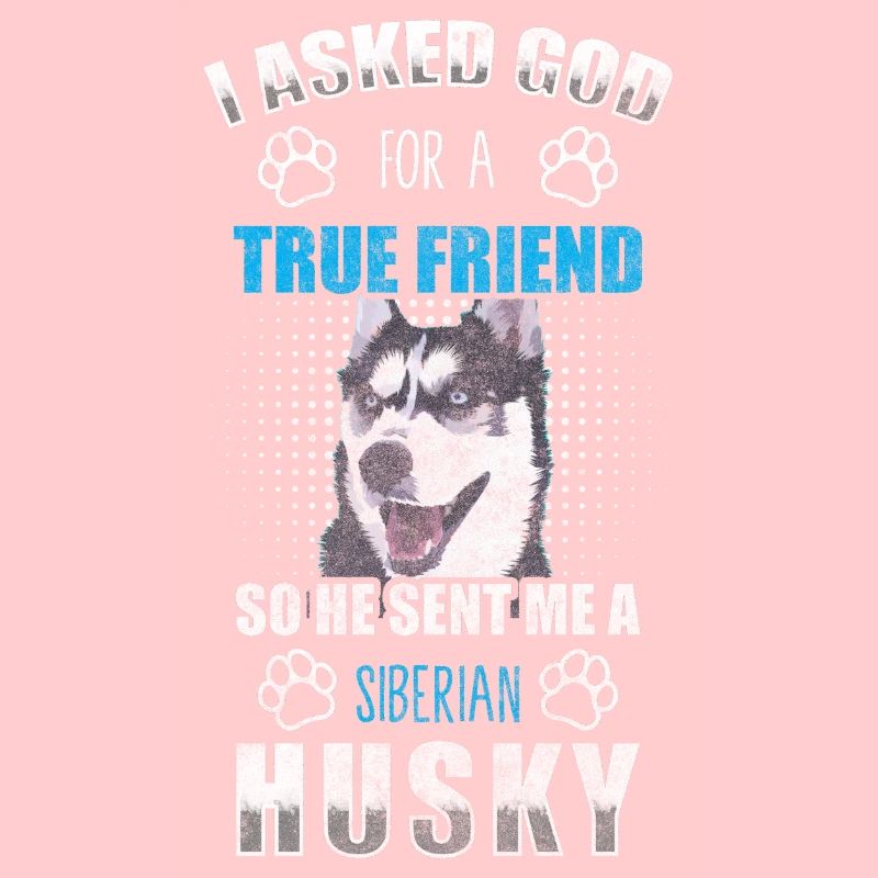Husky Hunderasse Rassehund