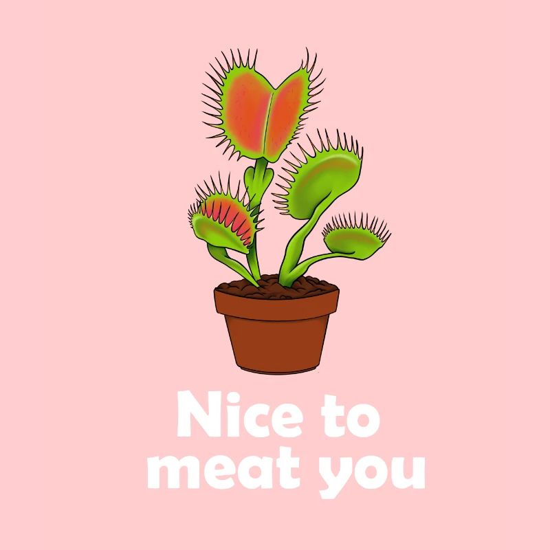 Venus flytrap carnivorous plant gift