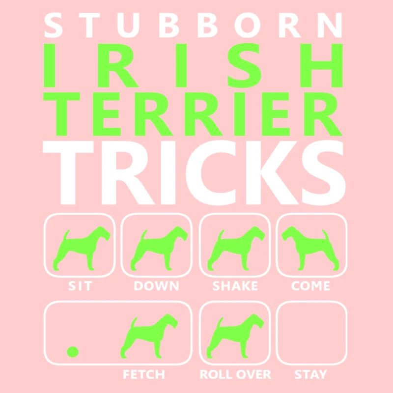 Hartnäckige Irish Terrier Tricks