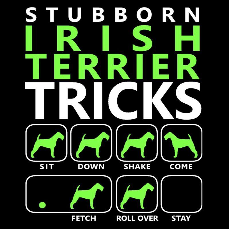 Astuces Irish Terrier tenaces