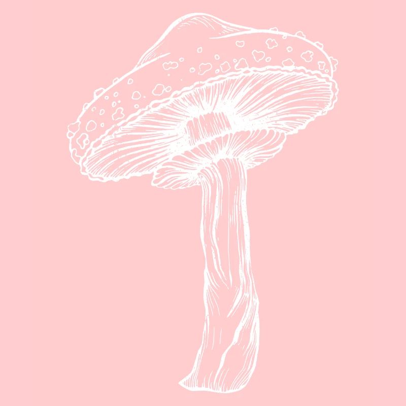 Art de champignon de conception graphique d'herbes colorées