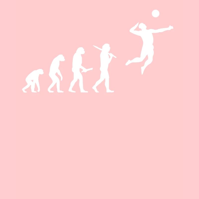 Volleyball Evolution Sportler Hobby Fun Geschenk