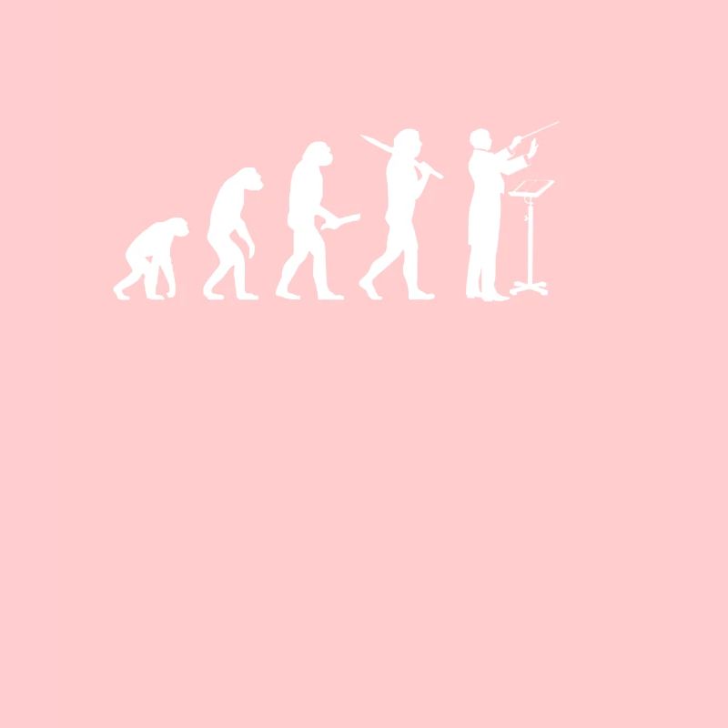 Ensemble de chef d'orchestre idée cadeau évolution