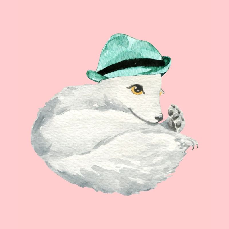 Niedlicher Polarfuchs