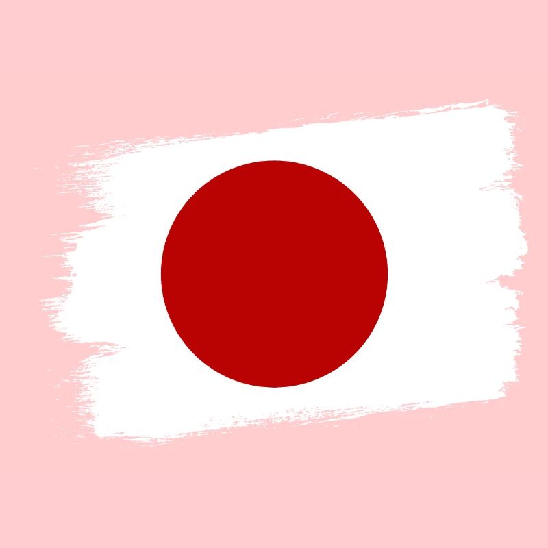 Drapeau du Japon Look Usé Nihon Drapeau Japonais