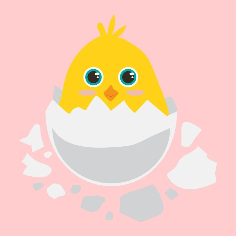 Baby chick hatching - Gift idea
