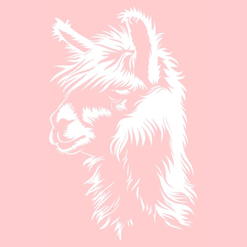 Alpaca
