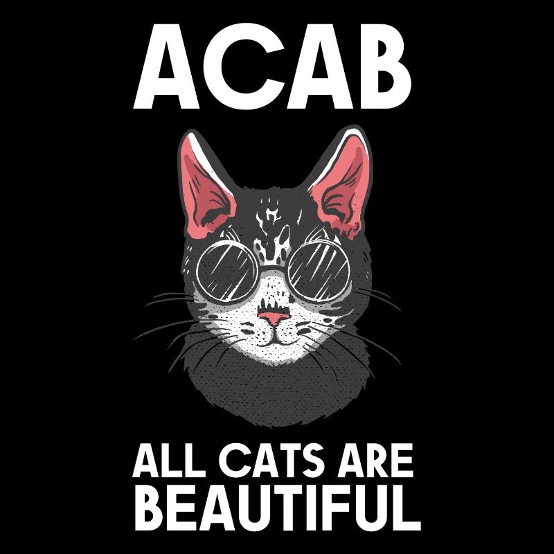 all cats are beautiful