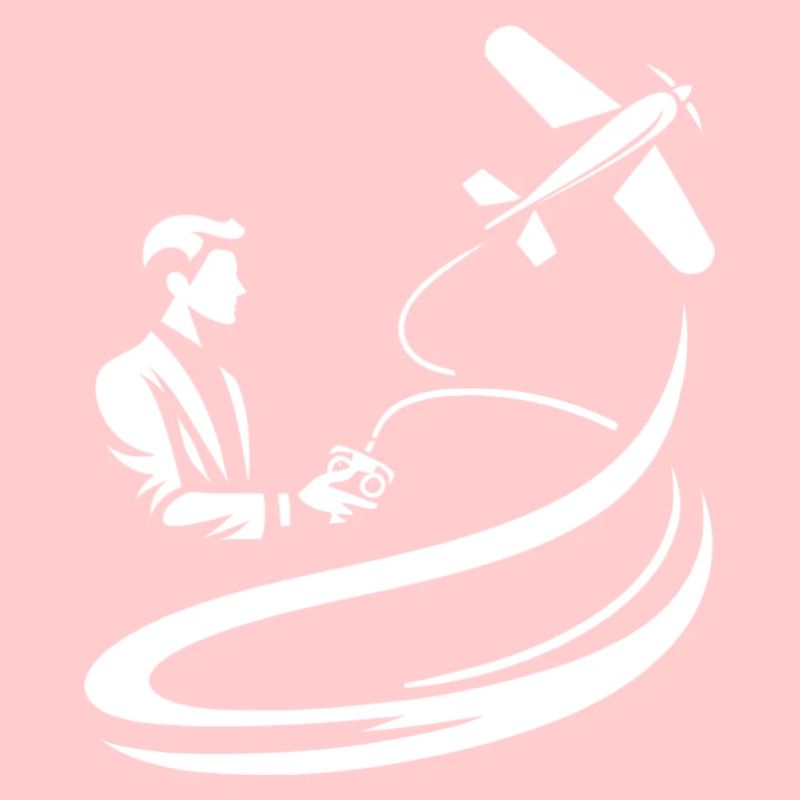 Flight with the remote-controlled plane