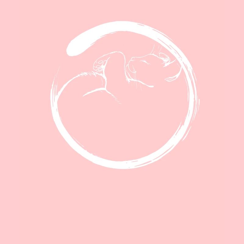 Cadeau pour chats chats chats