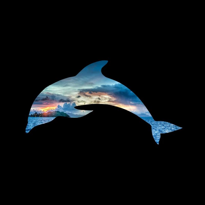 Dolphin dolphin pacific indian ocean fish animal