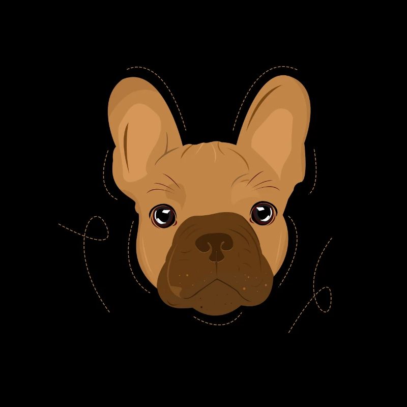 French bulldog