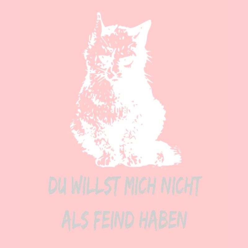 Evil cat / You don't want me as an enemy