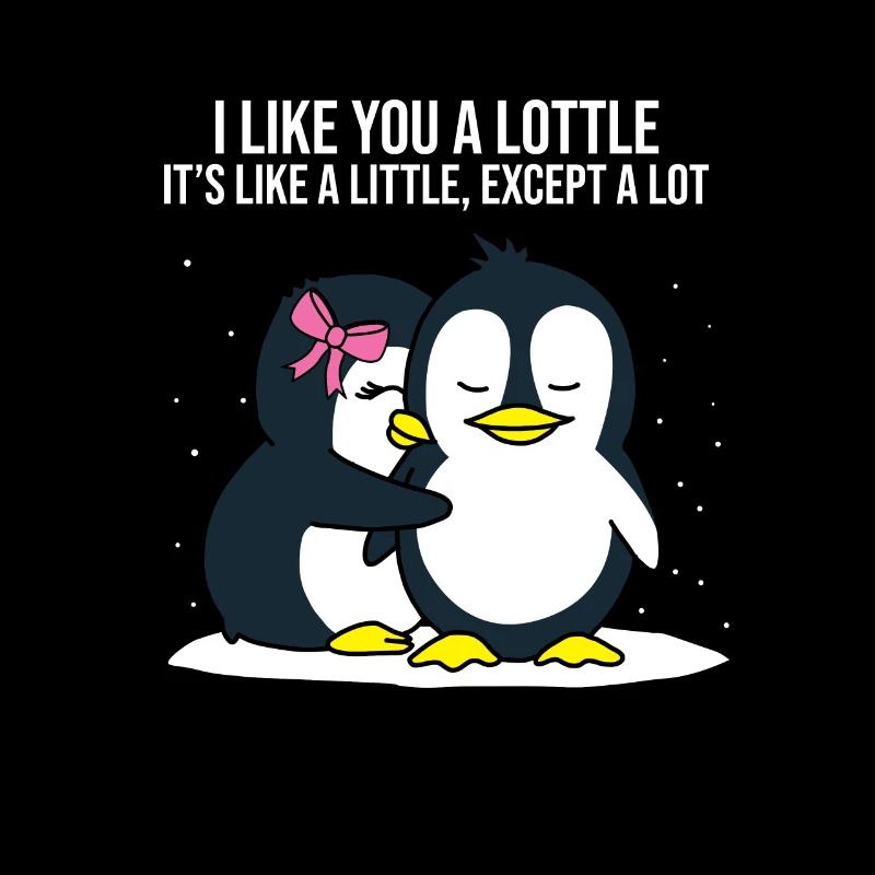 I like you a lottle Pinguin Liebe Paare Geschenk