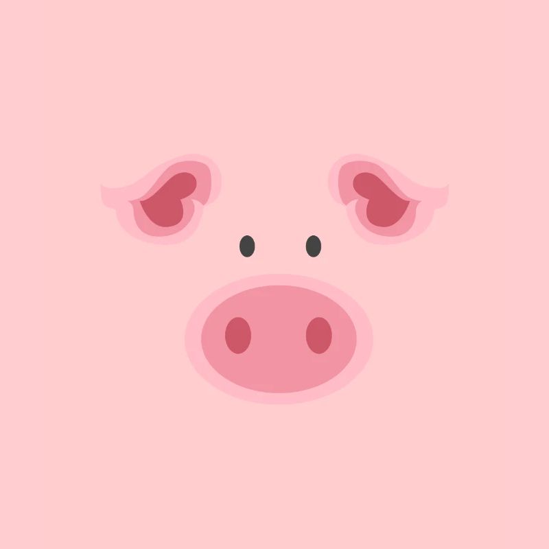 Costume de cochon drôle visage de cochon