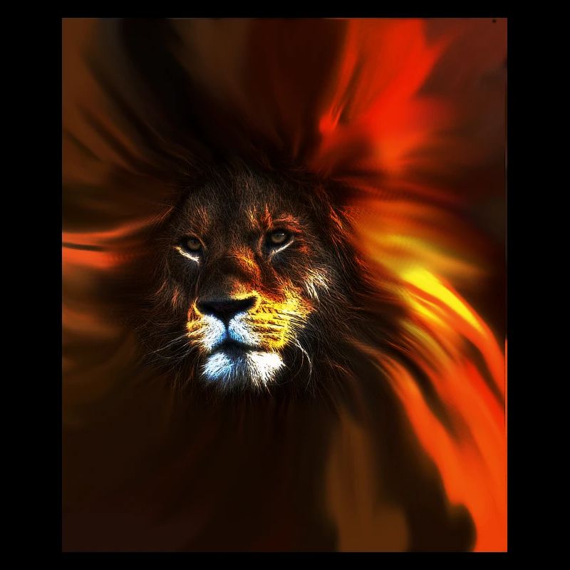 Lion - Roi Majestueux