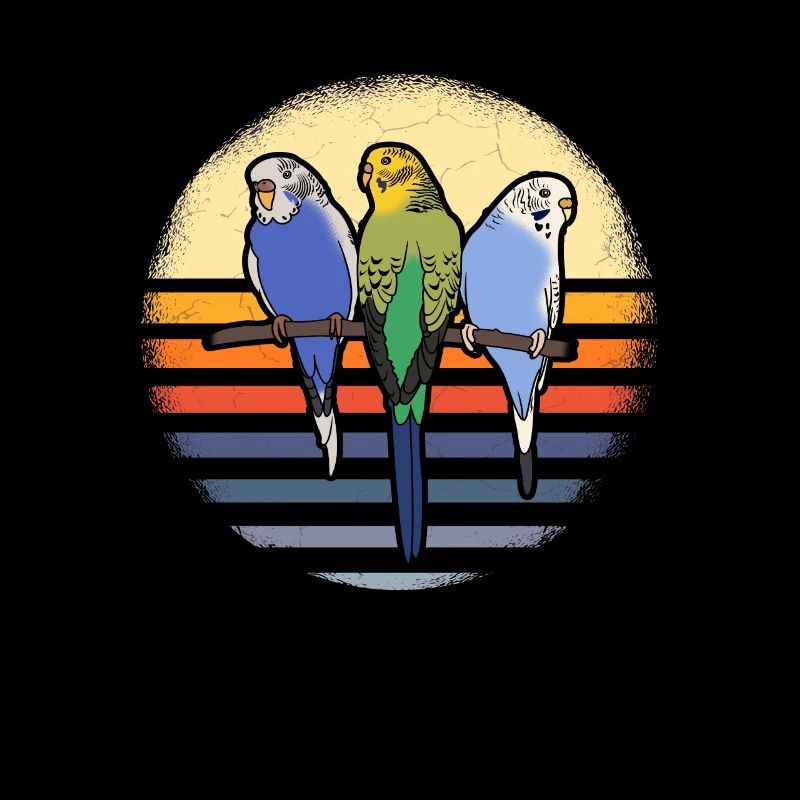 Budgie parakeet Welli