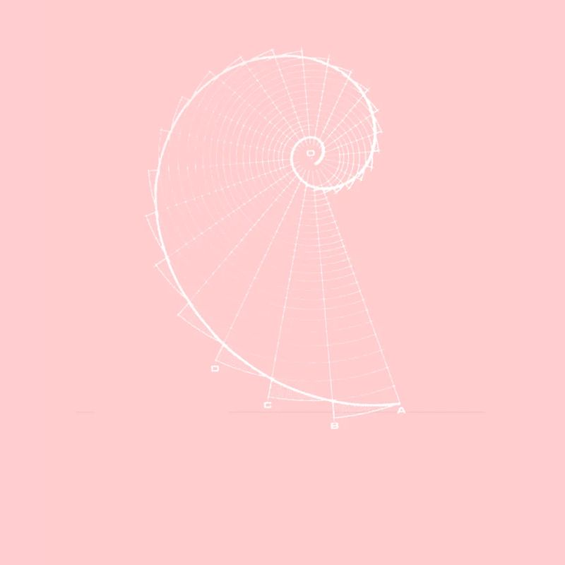 Fibonacci (optique à la craie)