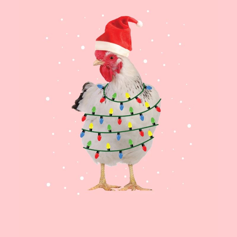 Poulet de Noël