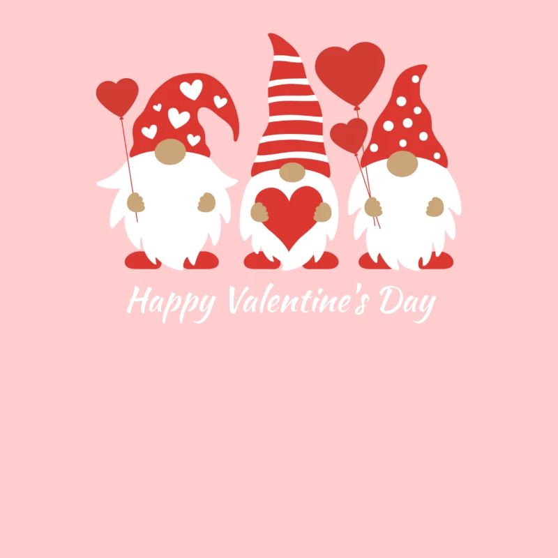 Happy Valentine's Day - Gnomes!