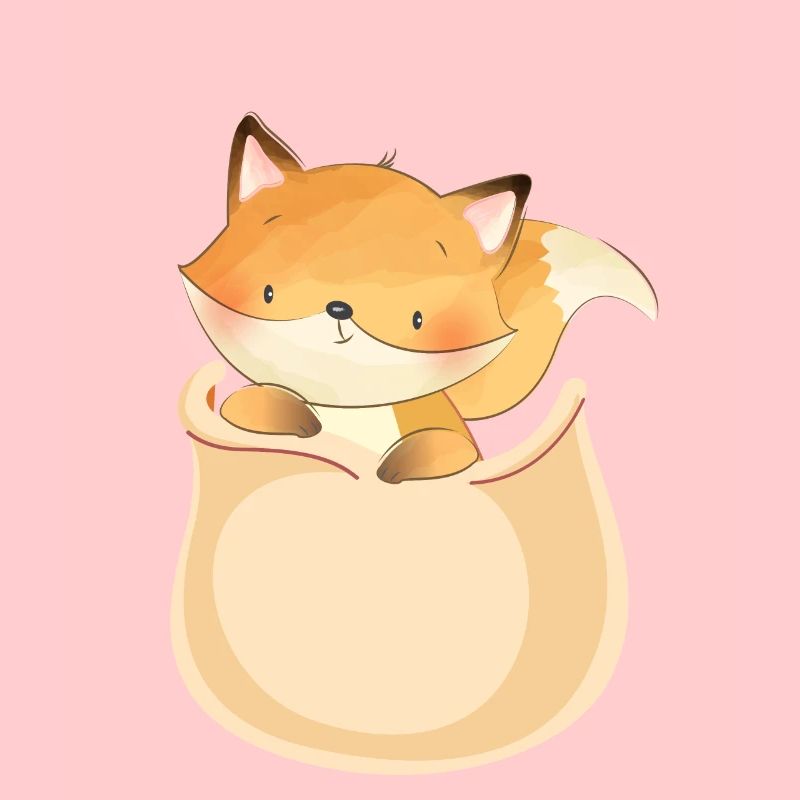 Marsupium Baby Red Fox