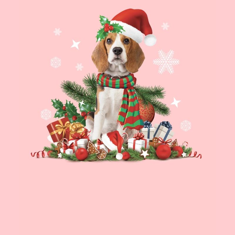 Chien Beagle de Noël