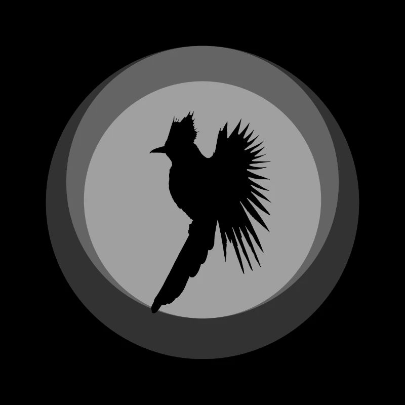 Calopsitte Calopsitte Oiseau