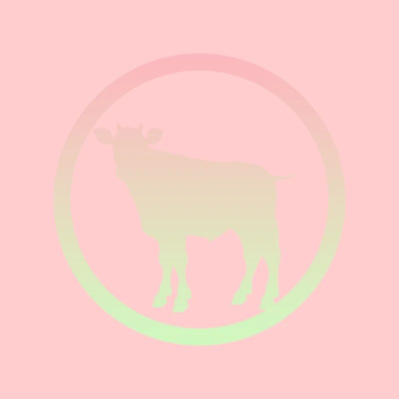 Vaches Vache Taureau