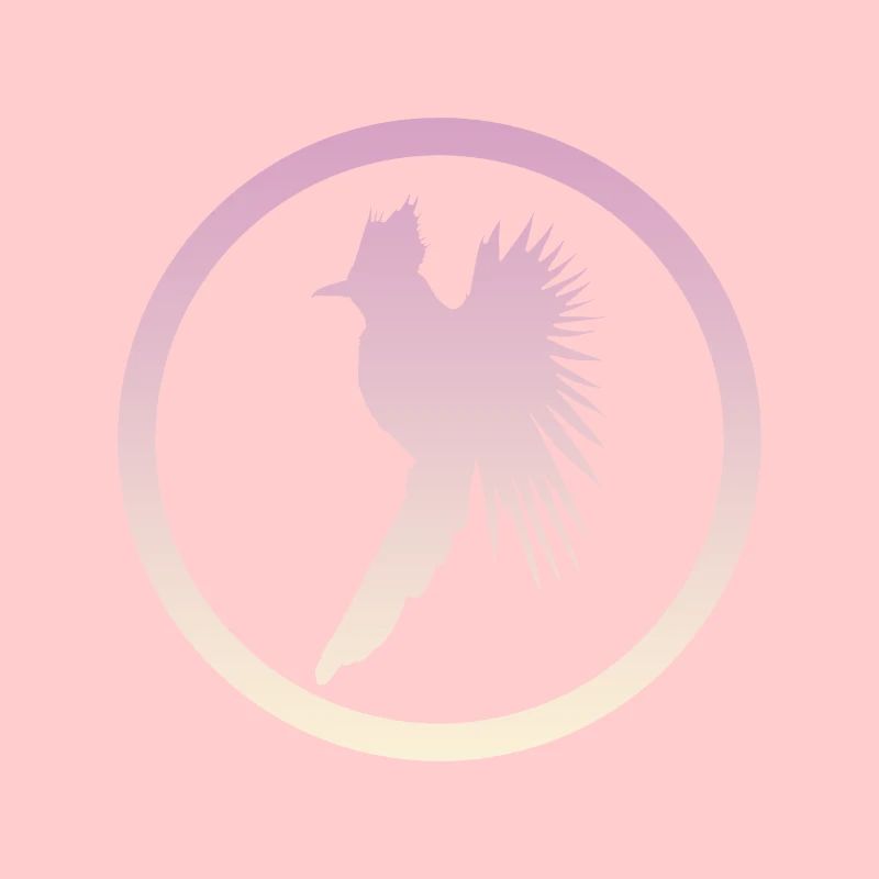 Calopsitte oiseau calopsitte
