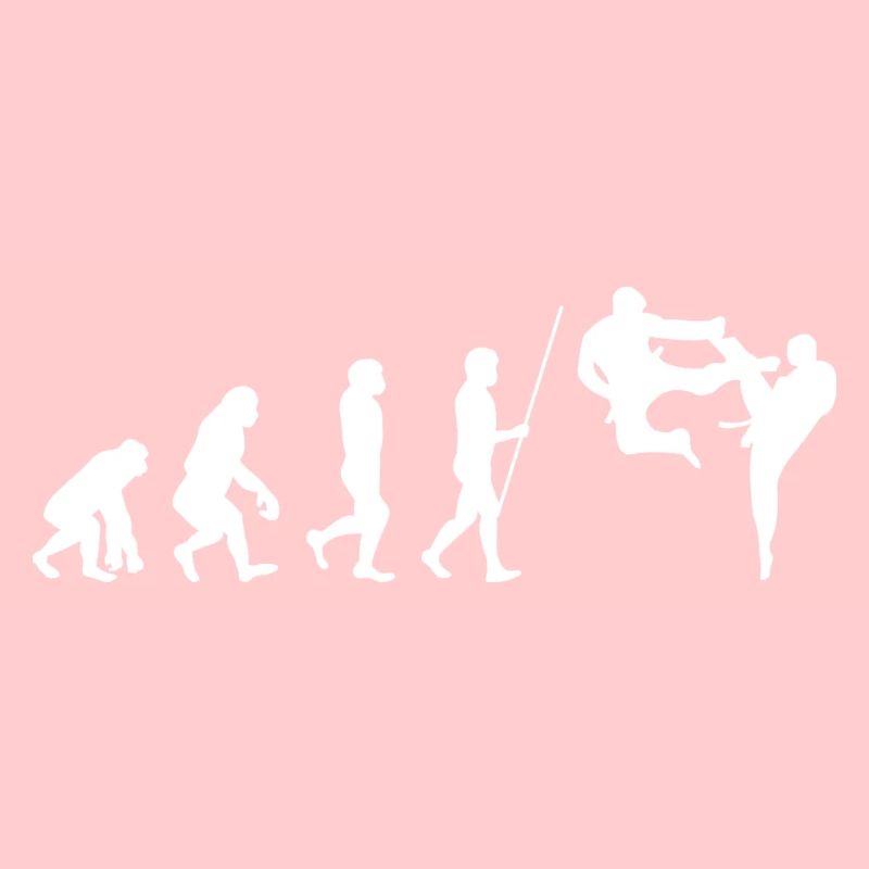 Évolution des arts martiaux