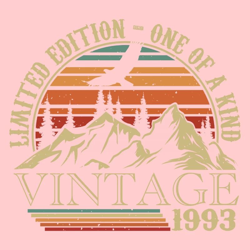 1993 Vintage Retro 1993 Jubiläumsgeschenk