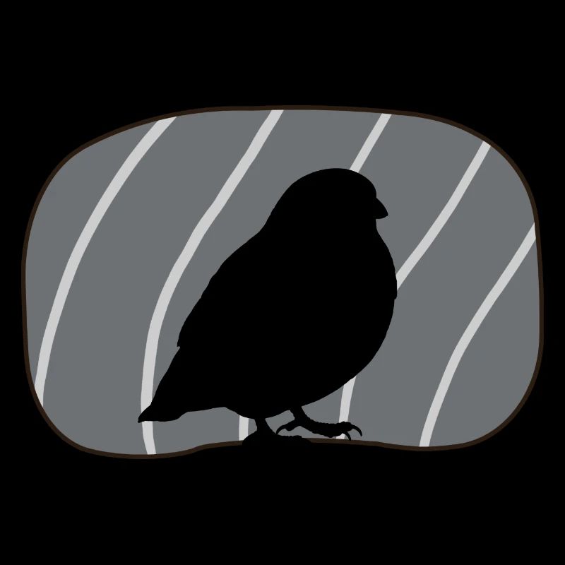 Oiseau, Ailes, Observation Des Oiseaux