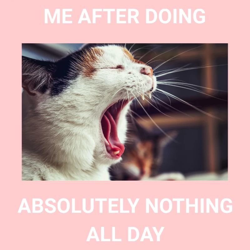 ME AFTER DOING ABSOLUTELY NOTHING ALL DAY