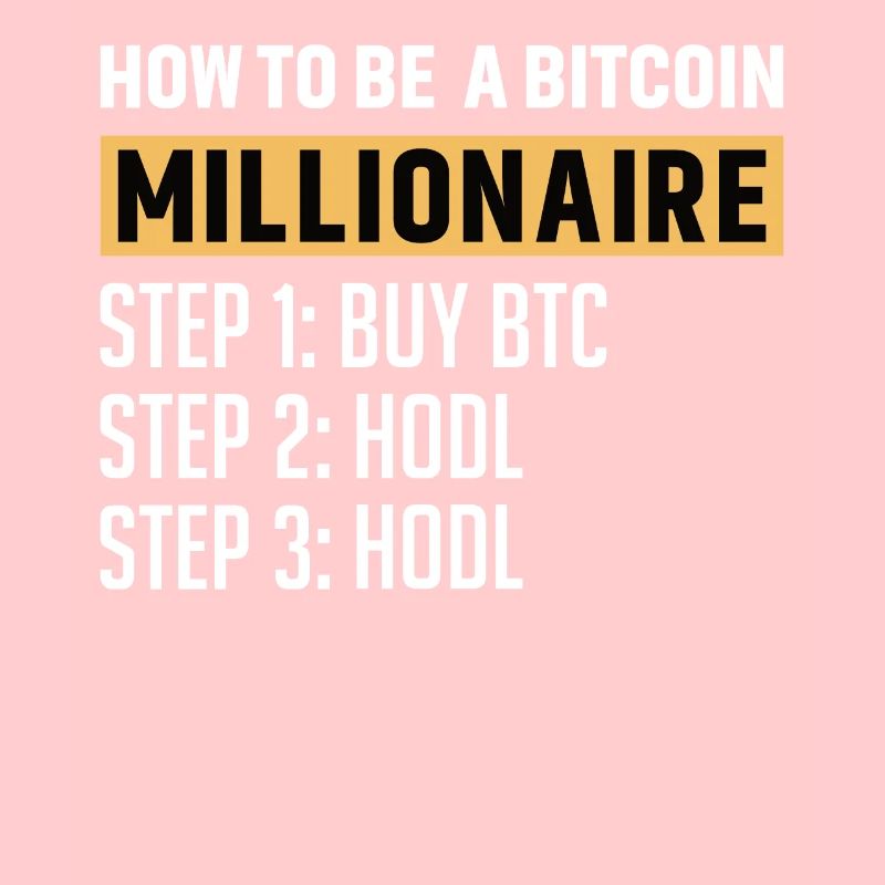 Bitcoin Plan B BTC Satoshi Krypto Hodl Maximalist