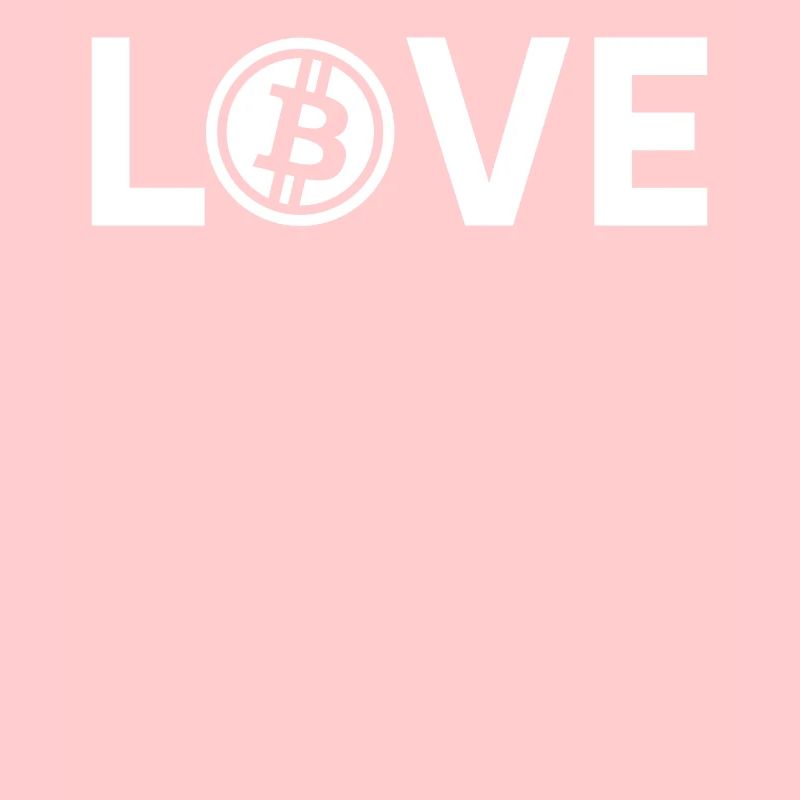 Bitcoin Plan B BTC Satoshi Crypto Hodl Maximalist