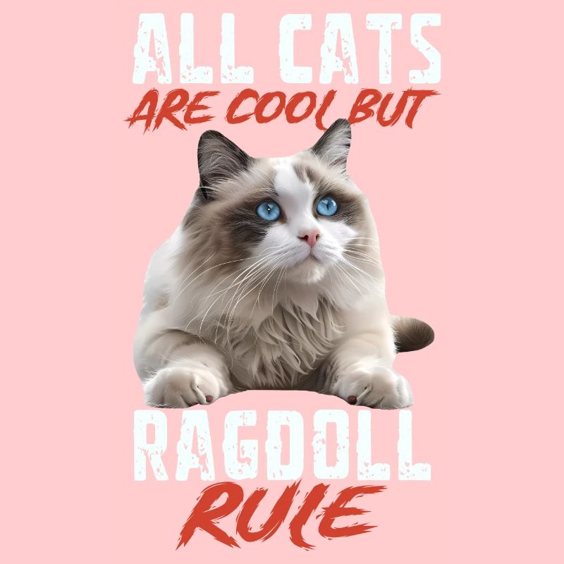 Ragdoll