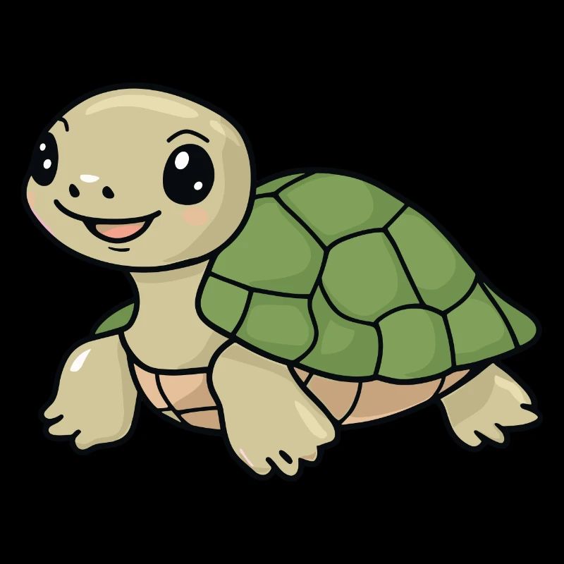 Turtle Turtles Turtle