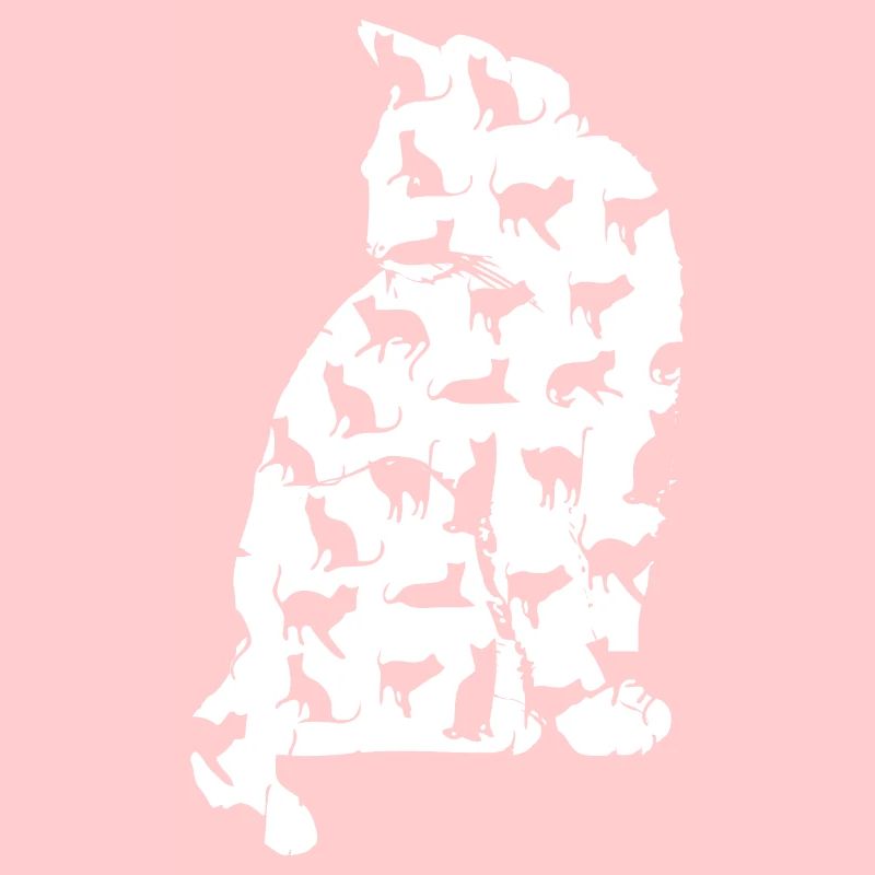 chat chat chat chat chat chatte minette chatte chatte minette