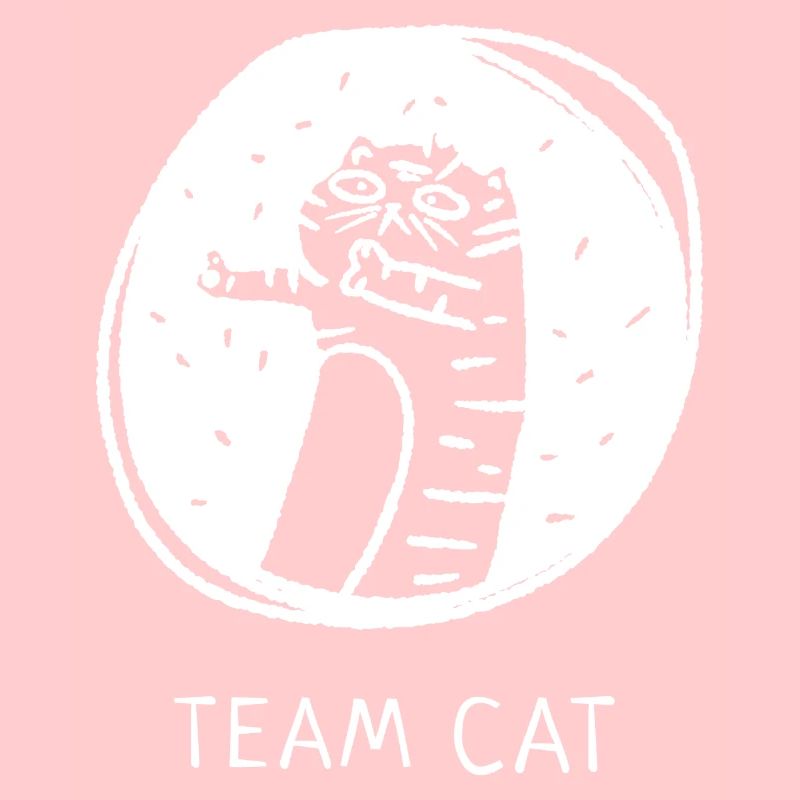 Équipe chat proverbe anglais