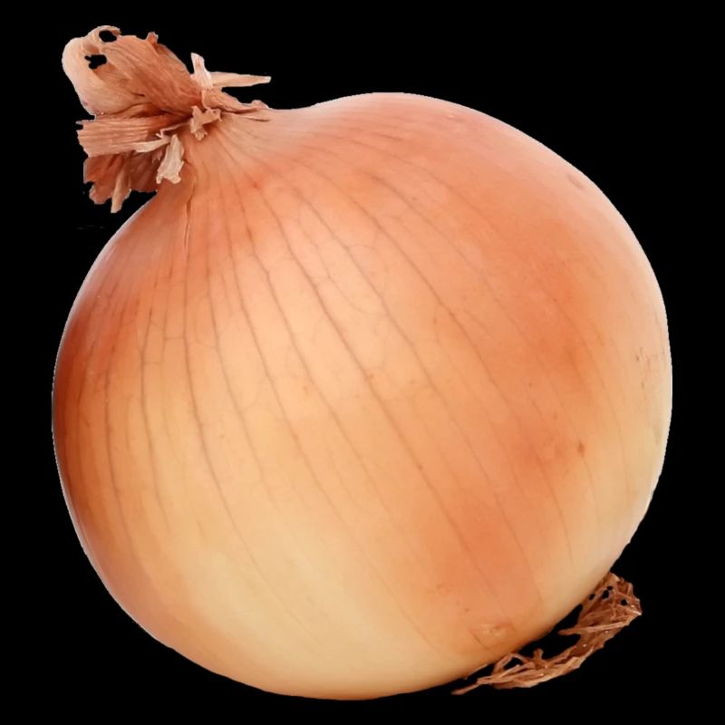 onion
